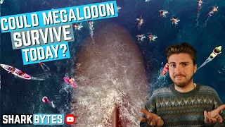 Could Megalodon SURVIVE In Today's Ocean?