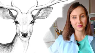 Как нарисовать оленя карандашом для начинающих