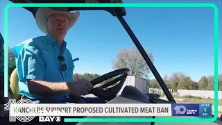 Florida ranchers support possible ban on lab-grown meat