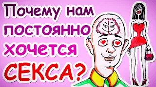 Почему нам постоянно хочется СЕКСА? — Научпок