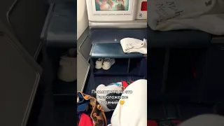Обзор бизнес класса Turkish Airlines. Очень странный рейс..