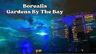 Preview of Borealis at the Supertree Grove | Northern Lights in Singapore | Gardens By The Bay