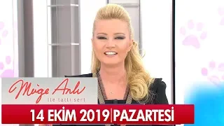 Müge Anlı ile Tatlı Sert 14 Ekim 2019