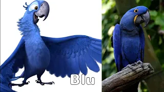 Rio 2 all characters in real life.