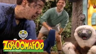 Zoboomafoo 222 - Armour (Full Episode)