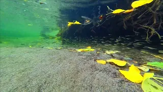 Insta360 Go 3,Test Underwater