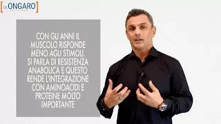 Amminoacidi e proteine: come ottimizzare il recupero muscolare | Filippo Ongaro