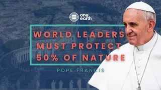 Pope Francis: World leaders must protect 50% of nature | One Earth