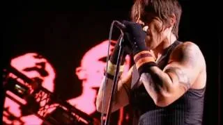 Red Hot Chillipeppers - Can't Stop LIVE Reading and Leeds 2007