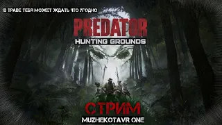 Трэш обзор игры Predator: Hunting Grounds. Игра с подписчиками. Coop. PlayStation 4. Стрим. Онлайн.