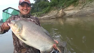 Pescando peces Monstruo en el Rio guayabero .