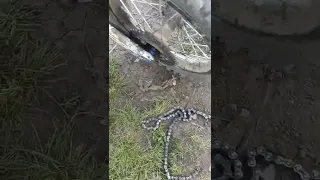 порвалась цепь далеко от дома🚬👍......