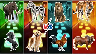 Funny Mamont 🆚 Funny Zebra 🆚 Funny Lion 🆚 Funny Tiger 🆚 Who Will Win?