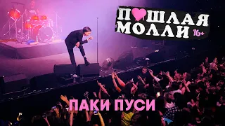 ПОШЛАЯ МОЛЛИ — Паки пуси | 21.02.2020 Нижний Новгород