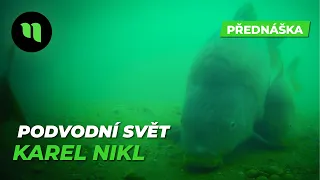 Podvodní svět | Karel Nikl