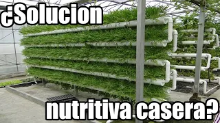 ¿Solución nutritiva CASERA? ¿se puede hacer? || Organoponia || México Verde