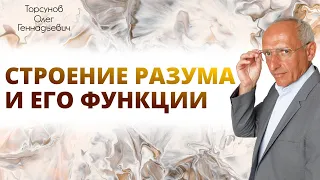 Строение разума и его функции. Торсунов О. Г.