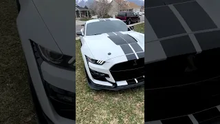 Lamborghinis Are For LOSERS! Shelby GT500