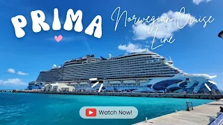 Norwegian PRIMA Cruise Ship Tour + Cabin and HAVEN SUITE!