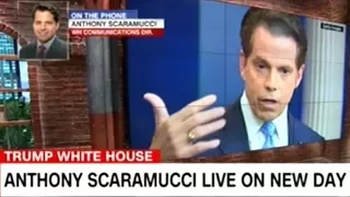 Scaramucci "I Can Tell You Two Fish That DON'T Stink And That's Me And The President"