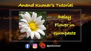 Daisy Flower in Gumpaste by Anand Kumar
