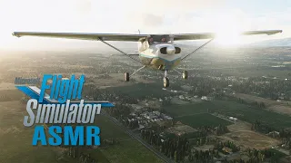 Relaxing Pattern Practice with Special Guests | Soft-Spoken Microsoft Flight Simulator ASMR