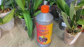 Удобрение Hesi Orchivit : месяц спустя. Как отреагировали вершки и корешки.