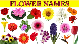 🌹🌻 Learn Flowers Name 🌷 Flower Names in English 🌺 With Pictures 🌸 Plants 🌼