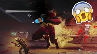 Destiny 2 vow funny moments part 1/1