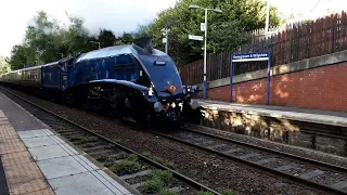 Wednesday 5th June 60007 Sir nigel Gresley storms through Wilpshire with the Fellsman