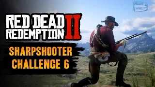 Red Dead Redemption 2 Sharpshooter Challenge #6 Guide - Kill someone 660 feet away with a rifle