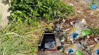 SHOCKING! TRASH is scattered everywhere around the drain, and thick grass grows