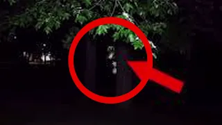 5 Cartoon Dog Caught on Camera & Spotted in Real Life