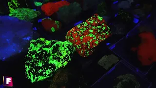 Minerales Fluorescentes Por Eduardo Jawerbaum | Mega Coleccionistas