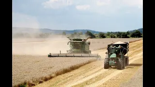 Завершення жнив на Тернопільщині. Сільський календар (10.08.2022)