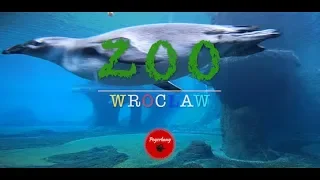 Oceanarium Afrykarium ZOO WROCLAW POLAND aquarium - GoPro Full HD- Poyerbany #23