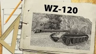 WZ-120 - китайский массаж лица