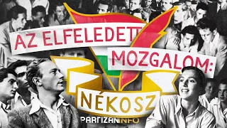 Egy elfeledett mozgalom Magyarországon: NÉKOSZ