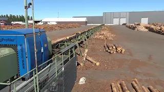 Typical log scanner sorter