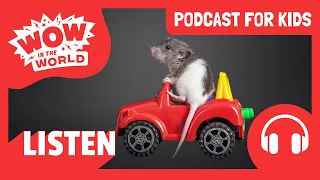 Can RATS Drive CARS?! 🐀🚗 | PODCAST FOR KIDS | Wow in the World FULL EPISODE | Science for Kids