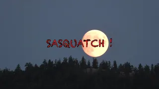 MONSTER of the WOODS Sasquatch Sighting Locations 4 2024