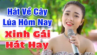 LK Hát Về Cây Lúa Hôm Nay - MC Ngọc Khánh đã xinh đẹp lại còn hát hay nữa