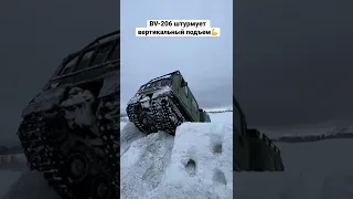 BV-206 штурмует вертикальный,снежный подъём😱