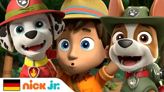 PAW Patrol | Carlos muss aus der Dschungel-Turnhalle gerettet werden! | Nick Jr. Deutschland