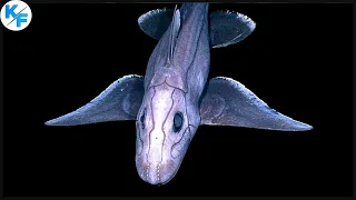 Химера - таинственный призрак из морских глубин.  Акула-призрак - монстр из подводного мира.