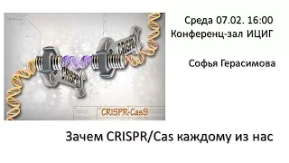 С. Герасимова. Зачем CRISPR/Cas каждому из нас