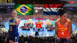 BRASIL X HOLANDA AO VIVO VNL FEMININA DE VÔLEI ONDE ASSISTIR COM IMAGENS