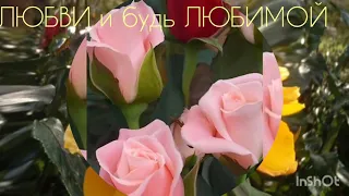 С ДНЕМ РОЖДЕНИЯ Полина