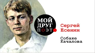 Собаке Качалова (Дай Джим на счастье лапу мне) - Сергей Есенин  |  Поэзия