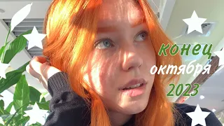 последняя неделя октября 2023: день рождения, киев, подарок #vlog